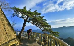江津凤凰山海拔是多少？凤凰山顶温度多少度