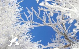 2020年24节气大雪那天哈尔滨的温度？20号哈尔滨的气温是多少