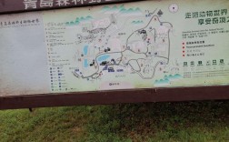 青岛黄岛森林野生公园门票？胶南野生动物园门票多少