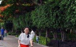 厦门3月中下旬的天气如何？最佳的旅游季节的几月？3月凤凰花开了没有？厦门3月 多少度