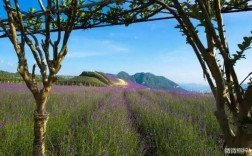 桐梓有什么好玩的地方？哪些景点必去？桐梓夏天气温是多少