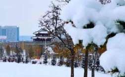辽阳地区适合种什么？辽阳冬天最低气温多少度