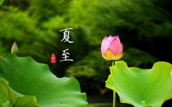 夏至的天气特征及其原因？夏至一般气温是多少