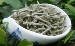 为什么刚买的白茶很香，几个月后再喝却没香味了？福建宁德温度多少时间