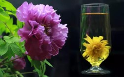 西北人为什么把开水叫牡丹花水？西北地区开水多少度