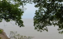 平湖乍浦旅游攻略？平湖今天温度多少度