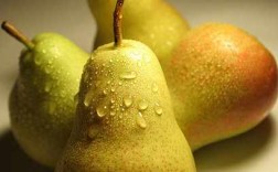 梨怕冻吗最低可以多少度？鸭梨保存温度多少度
