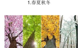 春夏秋冬各代表什么数字？春季到天气早多少度