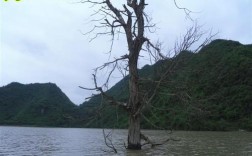 六盘水市几个人口大镇？盘县 坪地乡多少人口