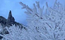 广西冬天下雪的城市？广西天气多少度才会下雪