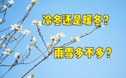 今年冷冬还是暖冬？今年是多少年的冷冬