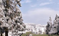 武隆仙女山好久下雪啊？武隆仙女山镇温度是多少
