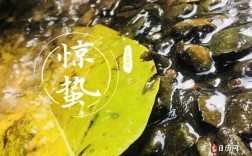三月惊蛰种什么菜？上海惊蛰气温一般多少度