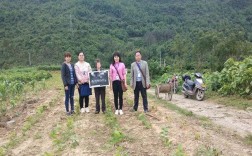 宜州十大水库？宜州区德胜镇邮政编码是多少