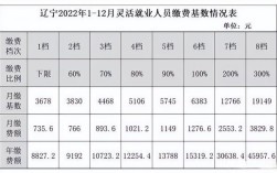 2015年宁夏中卫市灵活就业社保缴费标准？在中卫找个八月的工资是多少