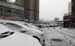 0几年下雪最大？2008年特大暴雪持续了多少天
