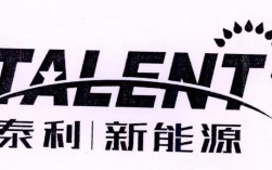 江西尊创泰利新能源有限公司？德兴香屯有多少工厂