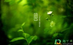 清明节的植物生长情况？北京清明节一般气温多少度