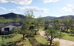 山西省阳泉市城区李家庄乡长岭村邮编是什么？陕西长岭区号是多少