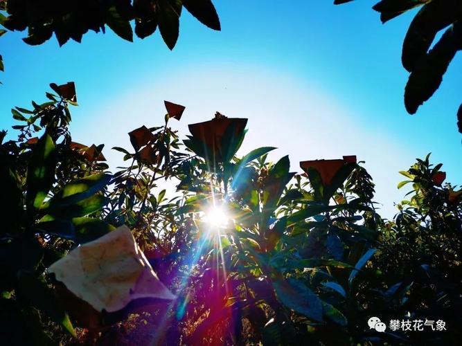 四川夏天最热的城市?攀枝花夏天最热多少度-图3 四川夏天最热的城市?攀枝花夏天最热多少度-图3