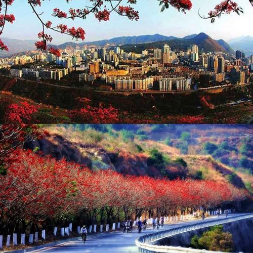 四川夏天最热的城市?攀枝花夏天最热多少度-图1 四川夏天最热的城市?攀枝花夏天最热多少度-图1