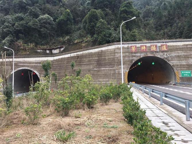 福建最长高速隧道是哪一条?政和包车去杨源多少钱-图2 福建最长高速隧道是哪一条?政和包车去杨源多少钱-图2