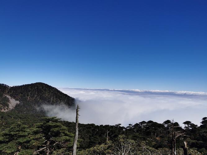 苍山8月份冷不冷?苍山的气温比大理差多少-图1 苍山8月份冷不冷?苍山的气温比大理差多少-图1
