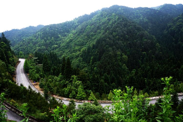 井冈山温度和山上温度差多少?井岗山现在的温度多少-图1 井冈山温度和山上温度差多少?井岗山现在的温度多少-图1