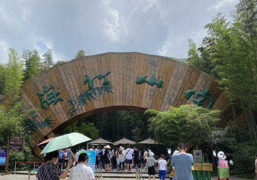 下雨天去南山竹海怎么样?南山竹海今天多少度-图1 下雨天去南山竹海怎么样?南山竹海今天多少度-图1