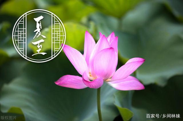 夏至的温度一般是多少度?夏至气温达到多少度-图1 夏至的温度一般是多少度?夏至气温达到多少度-图1