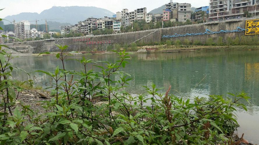铜仁沿河县的具体有几个乡镇?沿河到新景多少公里-图1 铜仁沿河县的具体有几个乡镇?沿河到新景多少公里-图1