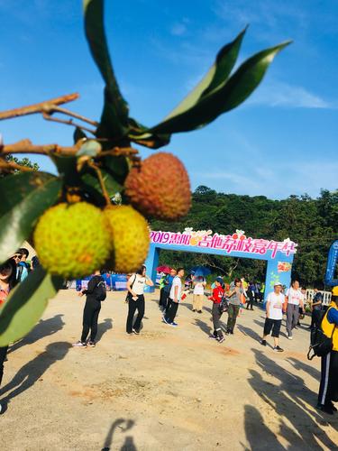 荔枝的代表颜色?今天惠阳湿度是多少-图2 荔枝的代表颜色?今天惠阳湿度是多少-图2