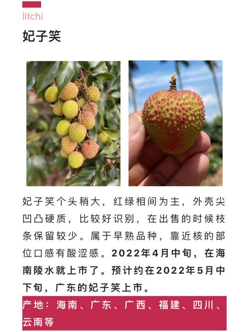 荔枝的代表颜色?今天惠阳湿度是多少-图3 荔枝的代表颜色?今天惠阳湿度是多少-图3