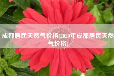 成都市2023商用天然气费价格?新都的气多少钱一方-图3 成都市2023商用天然气费价格?新都的气多少钱一方-图3