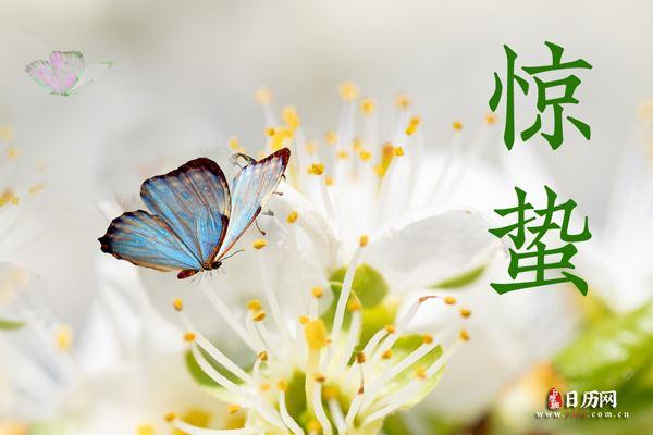 惊蛰能洗澡吗?惊蛰时气温大约多少度-图2 惊蛰能洗澡吗?惊蛰时气温大约多少度-图2
