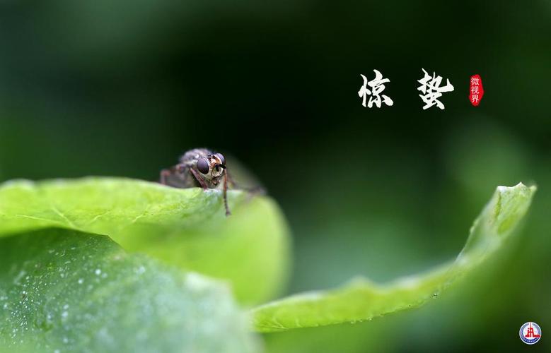 惊蛰能洗澡吗?惊蛰时气温大约多少度-图3 惊蛰能洗澡吗?惊蛰时气温大约多少度-图3