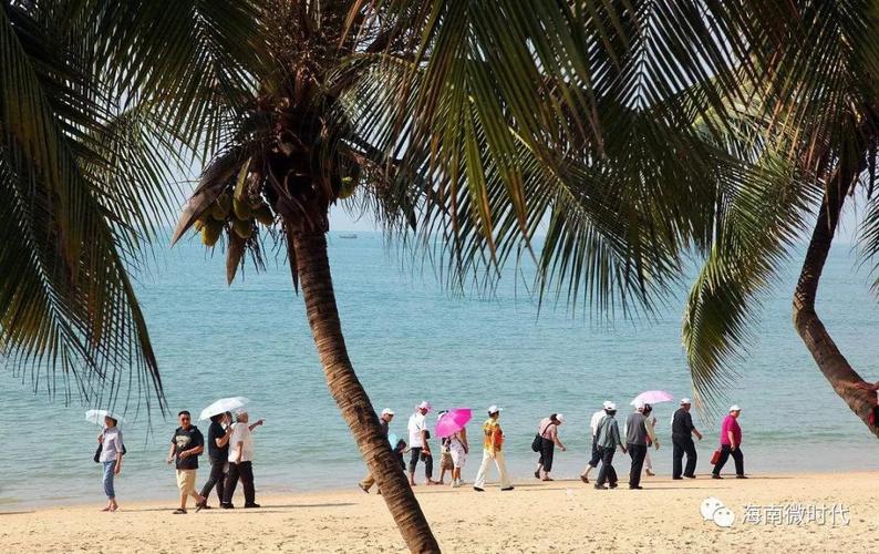 海南冬天平均温度是多少?陵水一年温度是多少钱-图3 海南冬天平均温度是多少?陵水一年温度是多少钱-图3