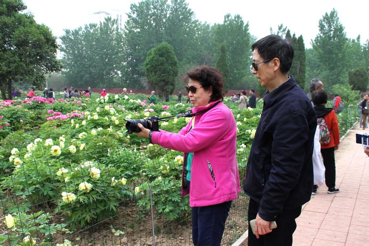 菏泽有什么景点？菏泽凝香园门票多少钱-图1