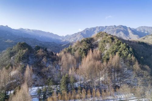秦岭海拔高度是多少?勉县的冬天有多少度-图1 秦岭海拔高度是多少?勉县的冬天有多少度-图1