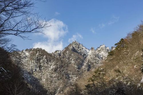 秦岭海拔高度是多少?勉县的冬天有多少度-图2 秦岭海拔高度是多少?勉县的冬天有多少度-图2