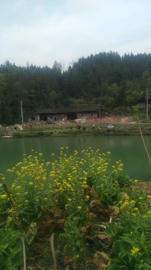 湖北省恩施土家族苗族自治州宣恩县长潭河乡九坝村邮编是什么?宣恩到长潭河多少公里-图3 湖北省恩施土家族苗族自治州宣恩县长潭河乡九坝村邮编是什么?宣恩到长潭河多少公里-图3