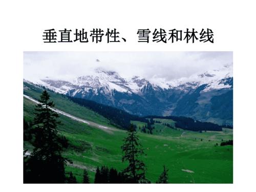 雪线和林线含义的区别?最高雪线是多少-图3 雪线和林线含义的区别?最高雪线是多少-图3