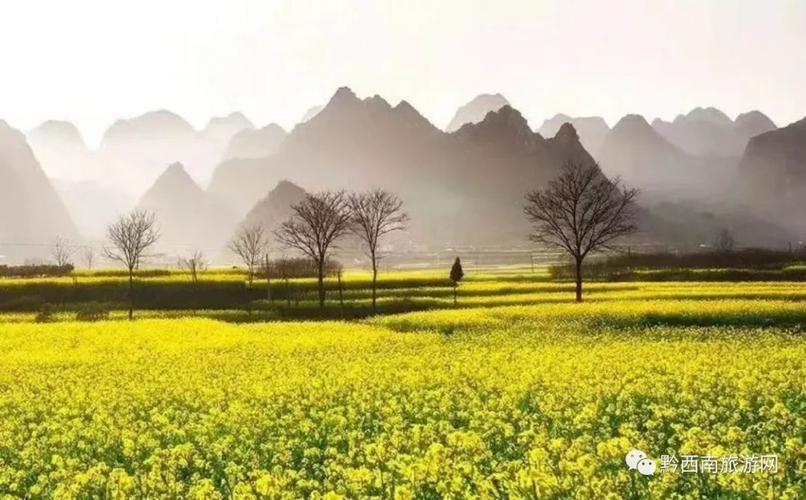 兴义冬天湿冷吗？兴义多少度-图2