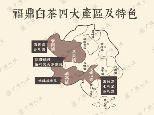 点头白茶和磻溪白茶的分别?福鼎到点头镇多少公里-图2 点头白茶和磻溪白茶的分别?福鼎到点头镇多少公里-图2