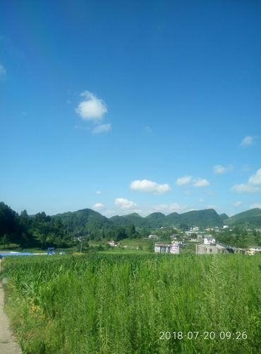 贵州省遵义市桐梓县,有多少个乡镇?桐梓九坝镇有多少人口-图3 贵州省遵义市桐梓县,有多少个乡镇?桐梓九坝镇有多少人口-图3