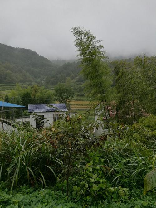 湖北省英山县有多少个镇?威宁杨柳乡多少人口-图1 湖北省英山县有多少个镇?威宁杨柳乡多少人口-图1