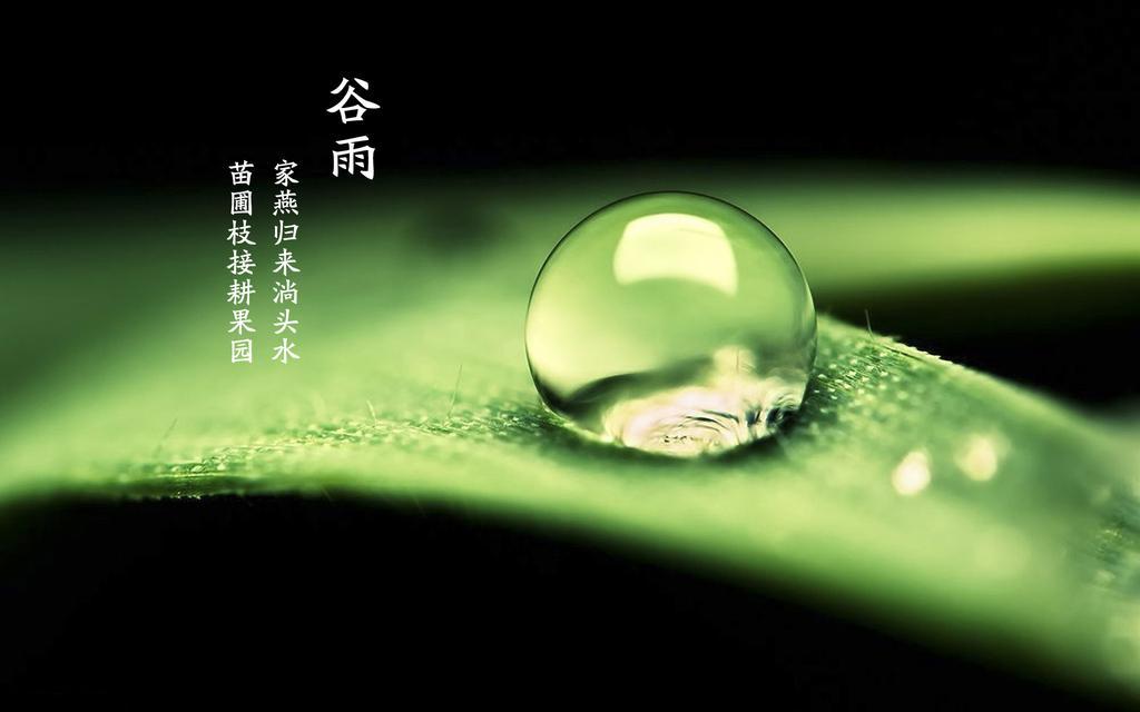 谷雨的诗句杜甫?四川谷雨时节气温多少-图3 谷雨的诗句杜甫?四川谷雨时节气温多少-图3