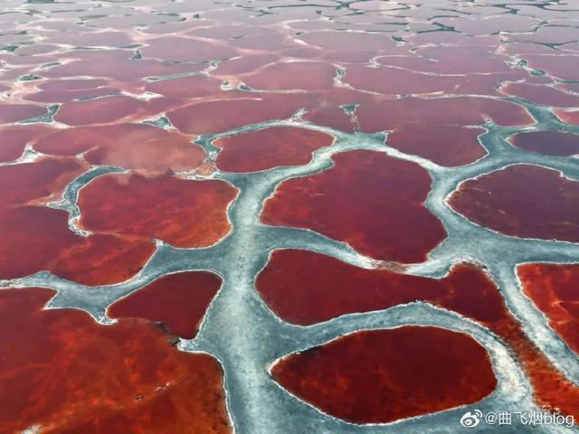 乌兰湖的传说?阿拉善盟最冷多少度-图2 乌兰湖的传说?阿拉善盟最冷多少度-图2