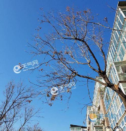 北京中到大雪最高温度？北京气温最高会到多少-图2