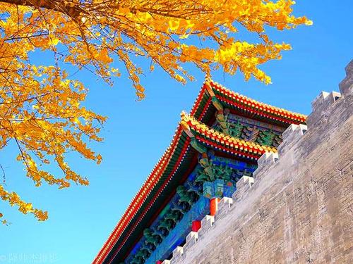 北京四季分明吗?北京秋天气温多少度-图3 北京四季分明吗?北京秋天气温多少度-图3
